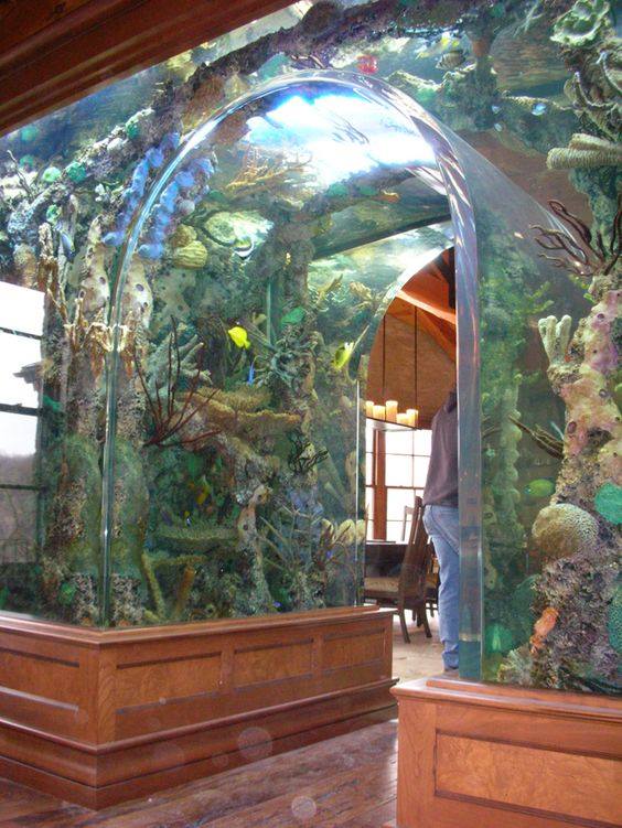 домашен аквариум